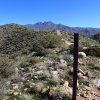 Junction of the Lower Soldier Camp trail and Cane Springs road