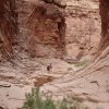 Hikers in North Canyon