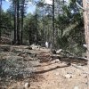 hiker on the Grapevine trail