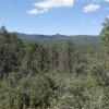 Views from the Salida view trail