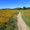 Hiking around Willow Creek Lake