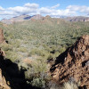 Views from the trail in the Peralta Regional Park