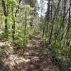 Along the Yeager canyon trail