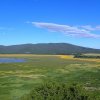 Views of Mormon Lake with Mormon Mountain in the background