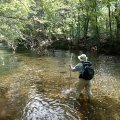 Crossing West Clear Creek along the Bull Pen ranch trail