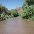 Aravaipa creek