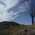 Mesquite canyon-Willow canyon trail loop (White tank regional park)