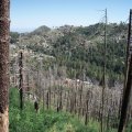 Hiking along the Mint spring trail