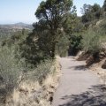 Along the Thumb Butte trail