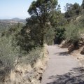 Along the Thumb Butte trail