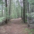 West fork of the Black river trail