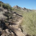 Trail to Stoney Mountain