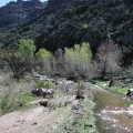 rare water in a desert wash on the way to dripping springs