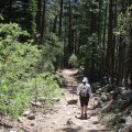 on the trail to Horton springs