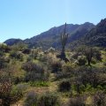 Rock Knob Loop - Scottsdale sonoran preserve