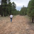 Hiking to the Canyon point rim trail