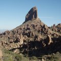 Weavers needle