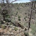 Gaddes canyon trail - upper