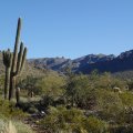 Gateway loop trail - McDowell Mountain preserve