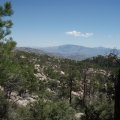 Views from the Mount Lemmon trail