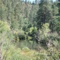 Telephone Ridge trail