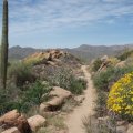 Ballantine creek trail