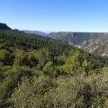 Views of Sycamore canyon