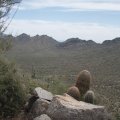 EJ peak trail