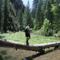 Hiker crossing West Clear creek