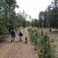 Hikers along the Willow springs lake bike trail