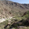 Ford Canyon (White tank regional park)