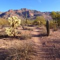 Views of the Superstition Wilderness along the Cougar trail