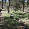 Hiker enjoying the Miller creek trail