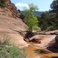 Hiking up the Munds Wagon trail