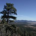 On the Elden lookout trail