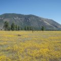 Views of Mount elden