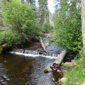 Little Colorado - Government Springs trail