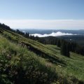 Mount Washburn - Yellowstone national park