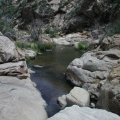 Poland creek