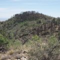 West Spruce mountain