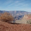 along the Tanner trail