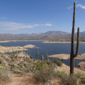 Hiking along the Jojoba trail