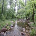 Christopher Creek along the See Canyon trail