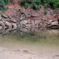 Emerald pools at Zion National park