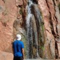 Admiring Stone Creek in the Grand Canyon