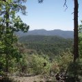 Watershed trail to Seven mile gulch trail