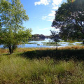 Hiking around Willow Creek Lake