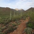 Lorriane Lee-Bowen loop hike trail