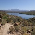 Saguaro lake