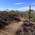 San Tan Regional park - Goldmine trail